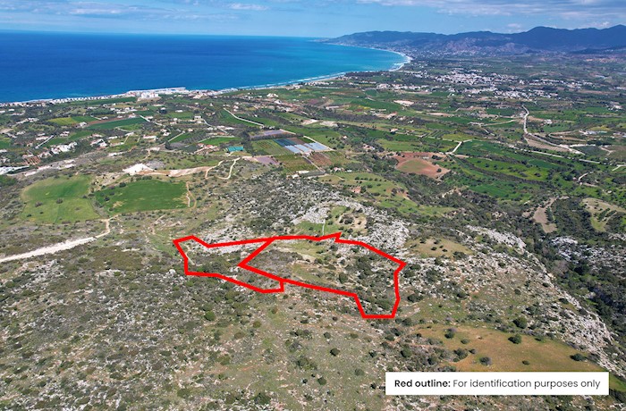 Ανδρολίκου., Πάφος, Κύπρος