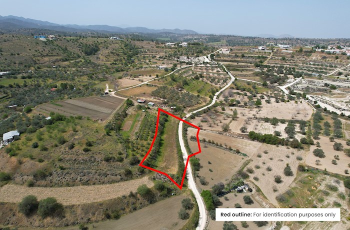  Kampia, Nicosia, Cyprus