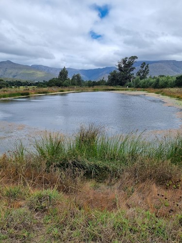 Joubertina, Eastern Cape, South Africa