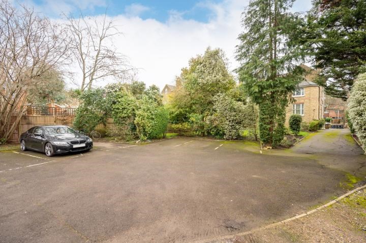Bright and Spacious One Bedroom Apartment