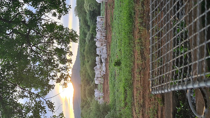 Musina, Limpopo, South Africa