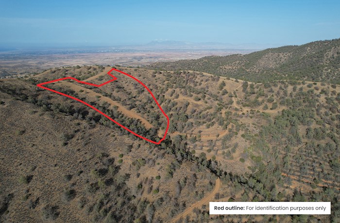 Άγιος Θεόδωρος Σολέας,Λευκωσόα, Κύπρος