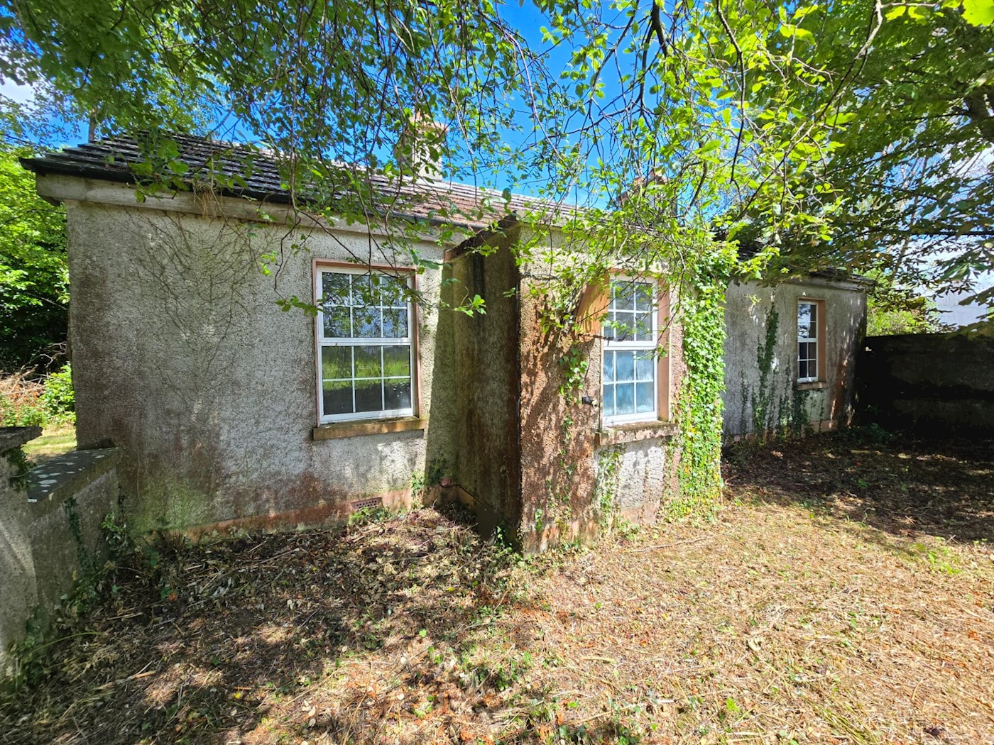 Lumcloon, Cloughan, Co. Offaly image 3