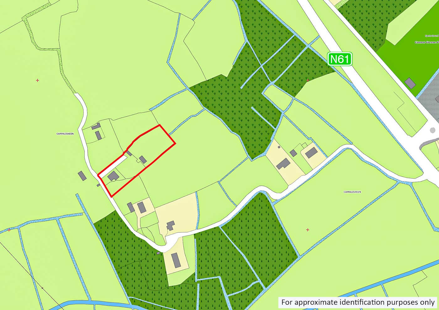 Cappalisheen, Kiltoom, Athlone image 4