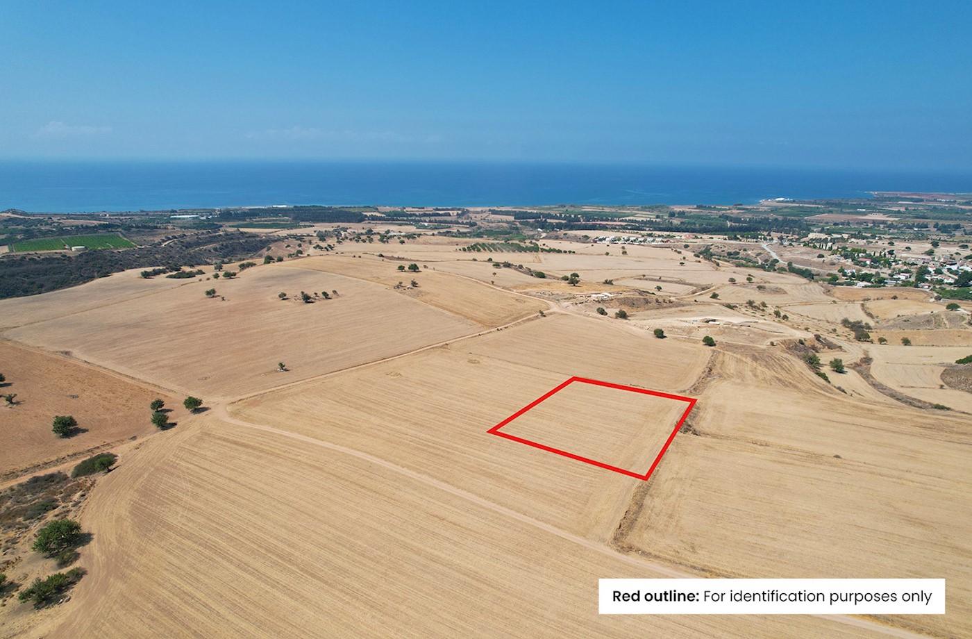 Residential Field in Kouklia, Paphos 1/3