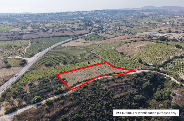 Κάθικας, Πάφος, Κύπρος