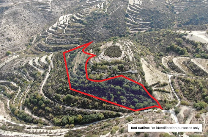 Koili, Paphos, Cyprus