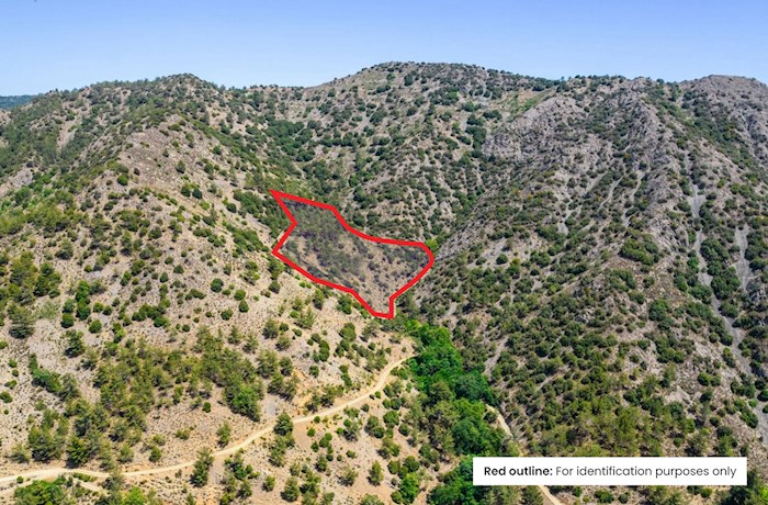 Agios Theodoros, Limassol, Chipre