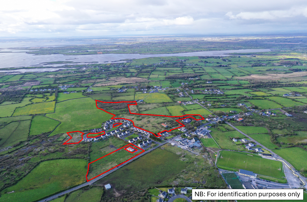 20 acres in Oakwood, Ballinderreen, Co. Galway 1/3