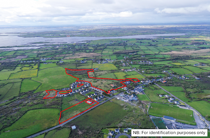 25 acres in Oakwood, Ballinderrin, Co. Galway, Ireland