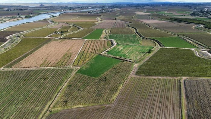 8 Plots, Olyvenhoutsdrift Settlement, Klippunt/Uppington, South Africa