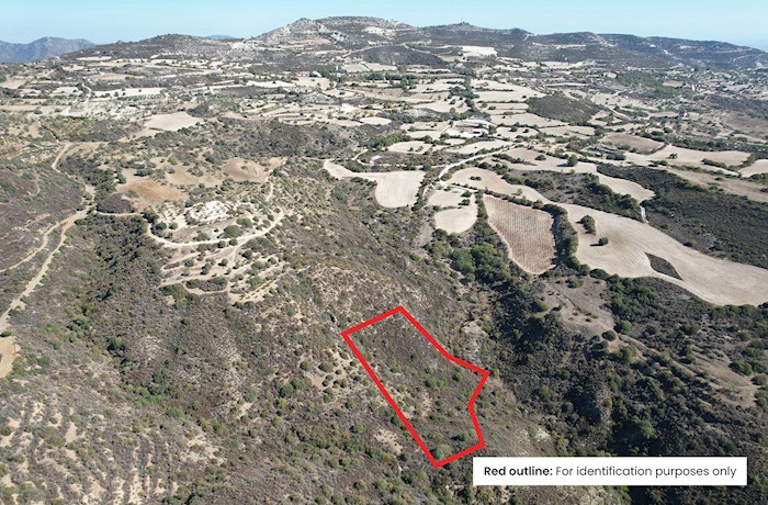 Kato Drys, Larnaca, Cyprus