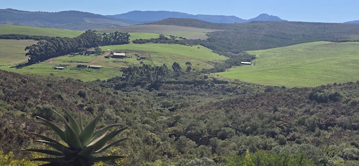 Heidelberg, Western Cape, South Africa