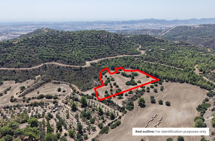 Kofinou, Larnaca, Cyprus