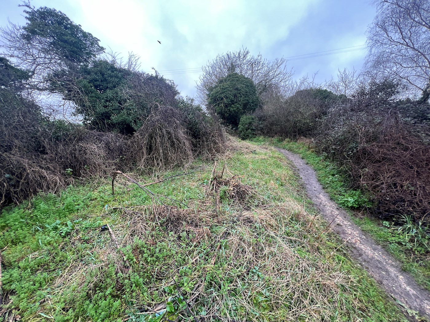 Land at Sarson Close, Amport, Hampshire, SP11 8AB