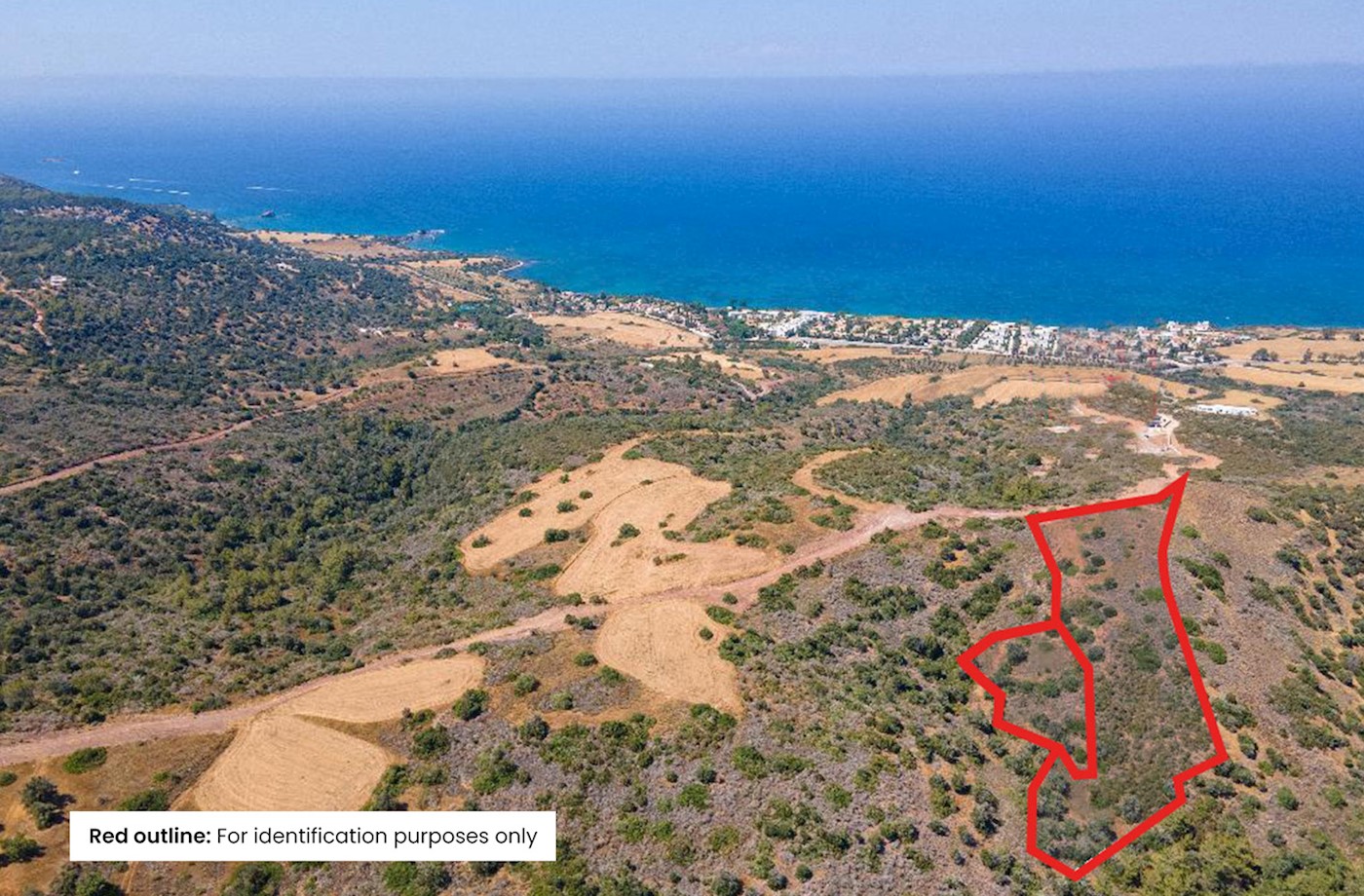 2 x Agricultural Fields in Neo Chorio, Paphos 1/2