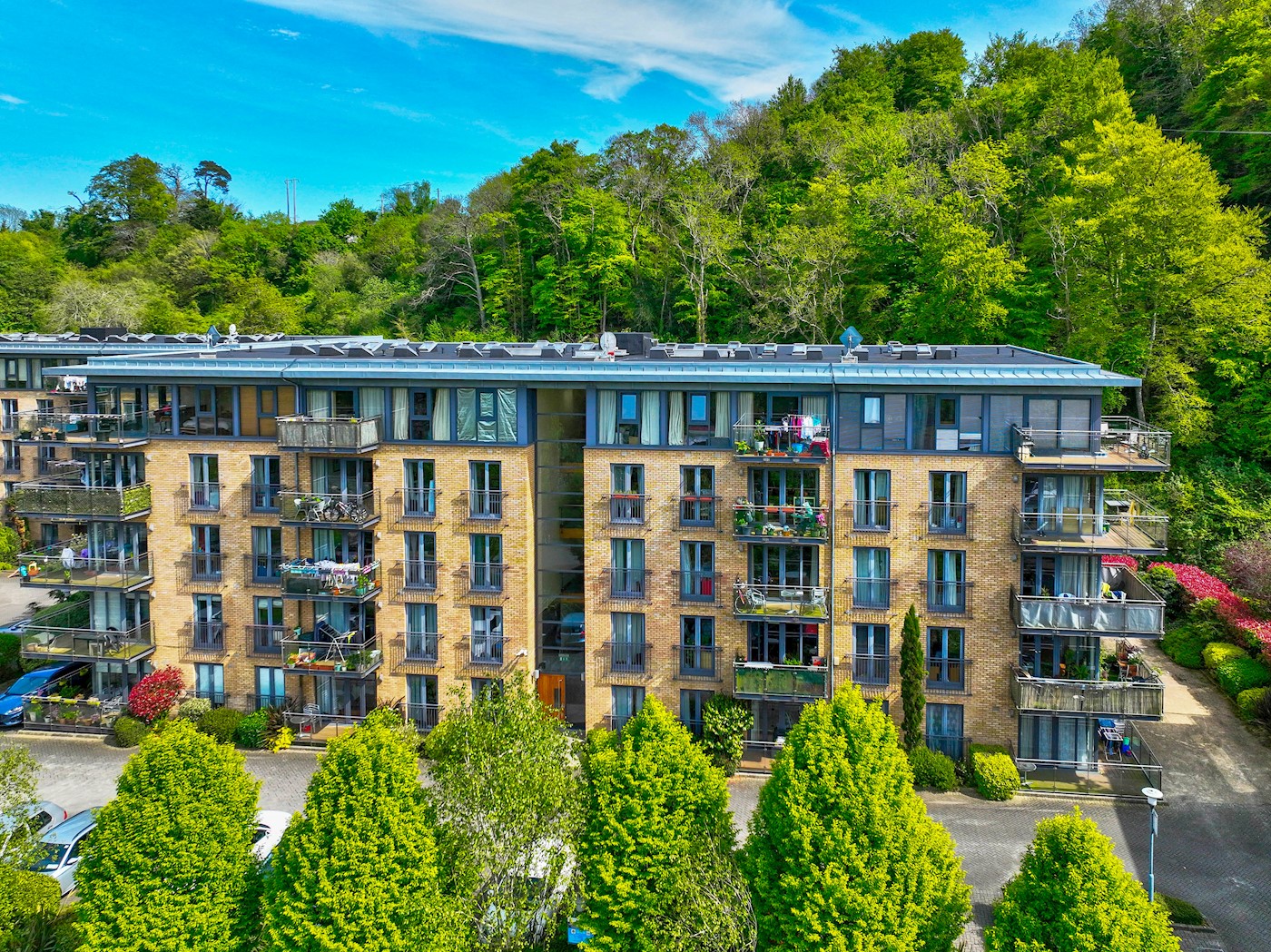 Apartment 75, Riversdale, Bray, Co. Wicklow, A98 E... - BidX1