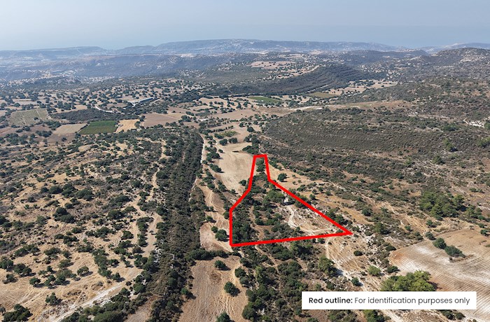 Anogyra, Limassol, Cyprus