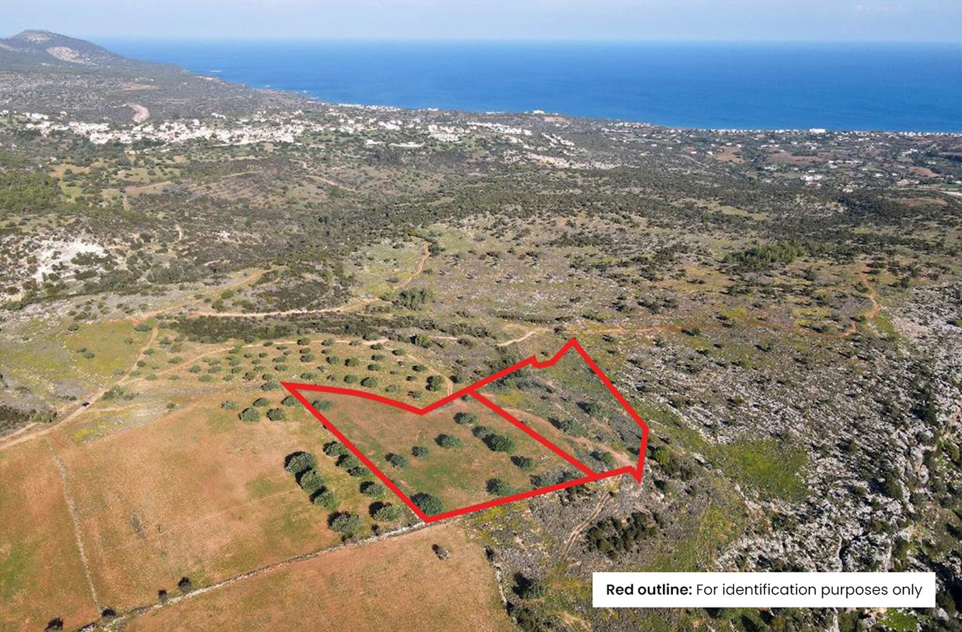 2 x Agricultural Fields in Neo Chorio, Paphos 1/3