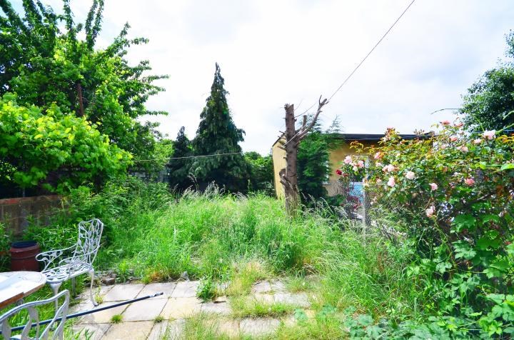 Terrace Road, London, E13