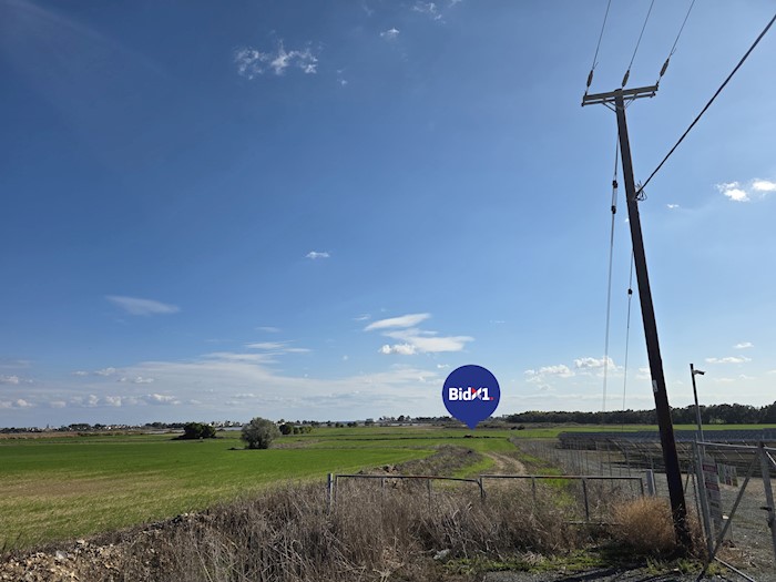 Μενεού.Λάρνακα, Κύπρος