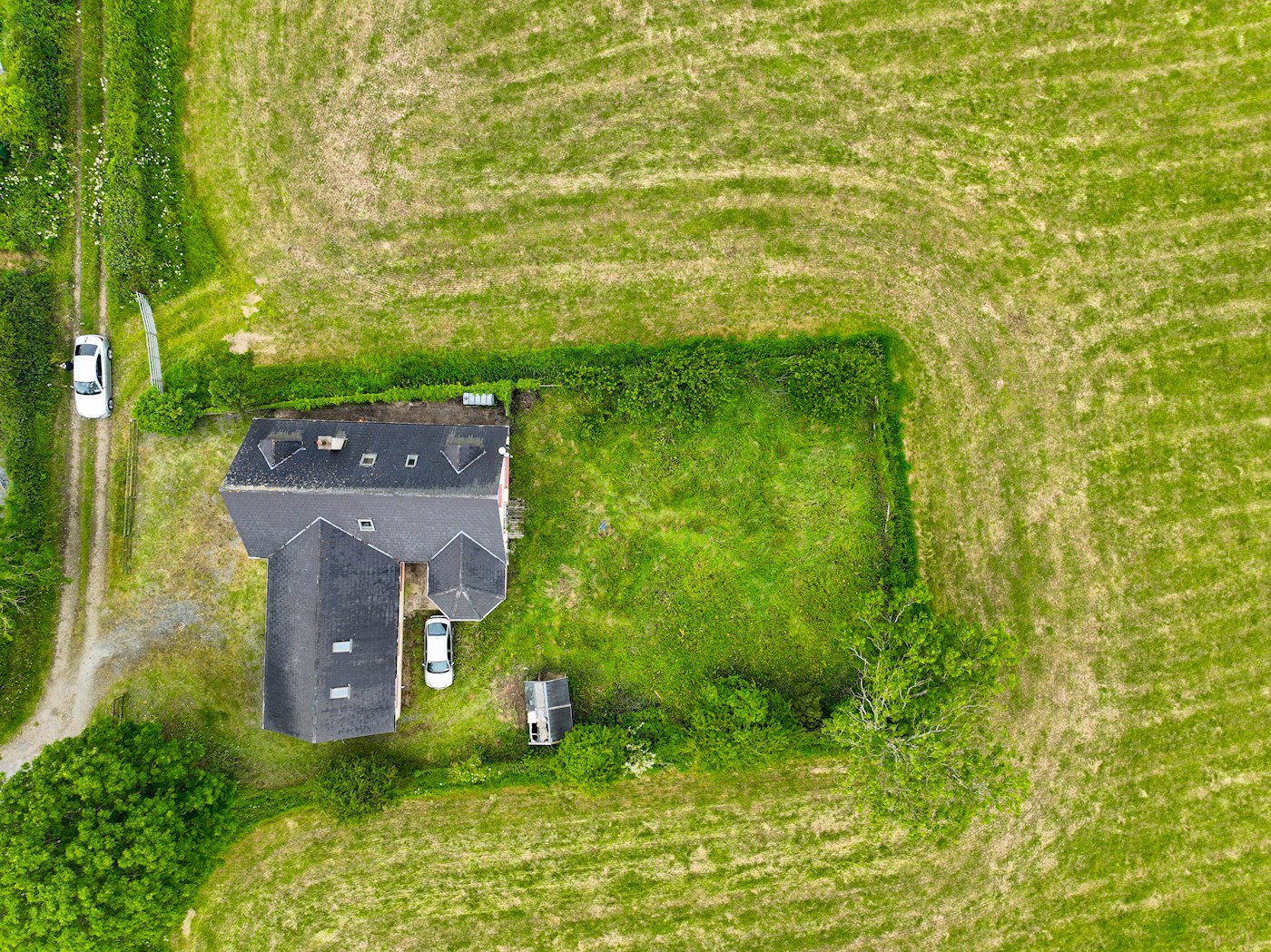 Ballykelly, New Ross, Co. Wexford image 4