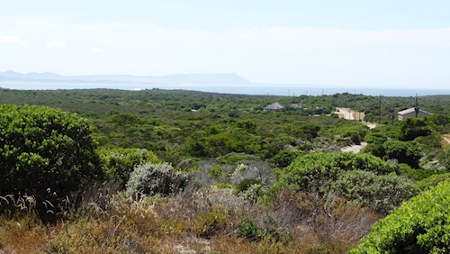 Birkenhead, Western Cape, Sudáfrica