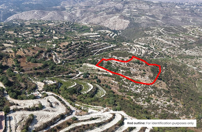 Κοίλη, Πάφος, Κύπρος