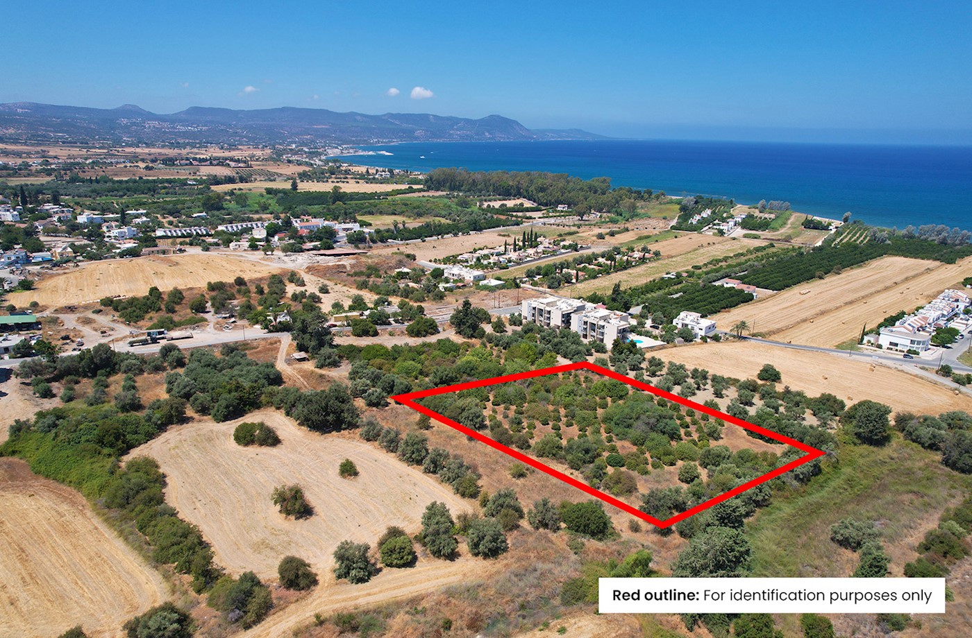 Residential field in Polis Chrysochous, Paphos 1/3