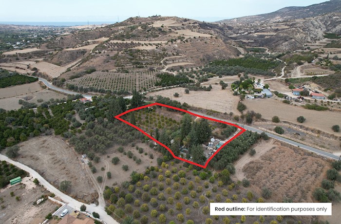 Choli, Paphos, Chipre