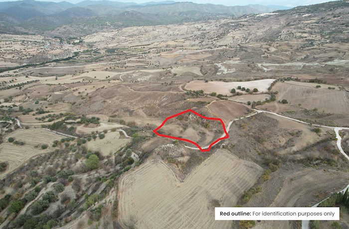 Lasa, Paphos, Chipre