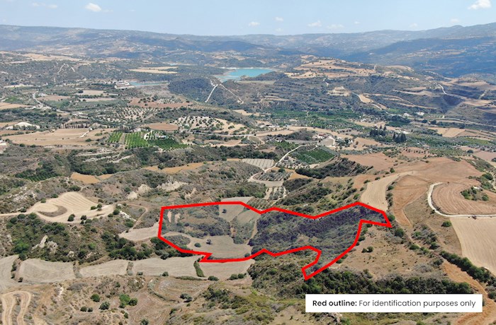 Agricultural Field in Choli, Paphos, Cyprus