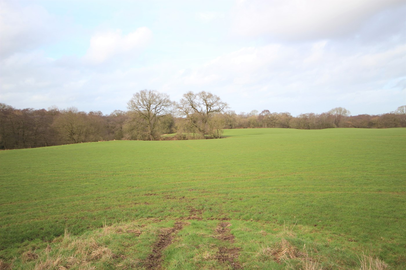 Land at Fenns Bank off Long Lane (A495), Whitchurch, SY13 3PE 1/5