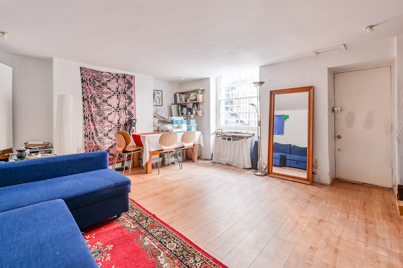 Spacious One-Bedroom Lower Ground Floor Apartment