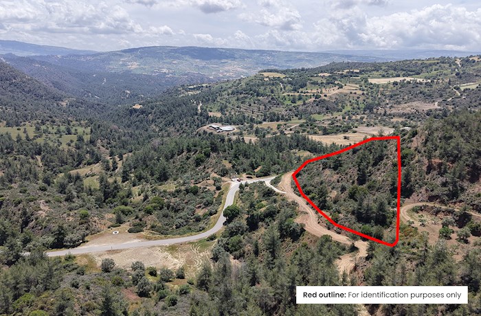 Agricultural Field in Lysos, Paphos, Cyprus