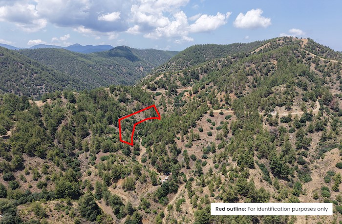 Γεωργικό τεμάχιο στον Κάμπο, Λευκωσία, Κύπρος