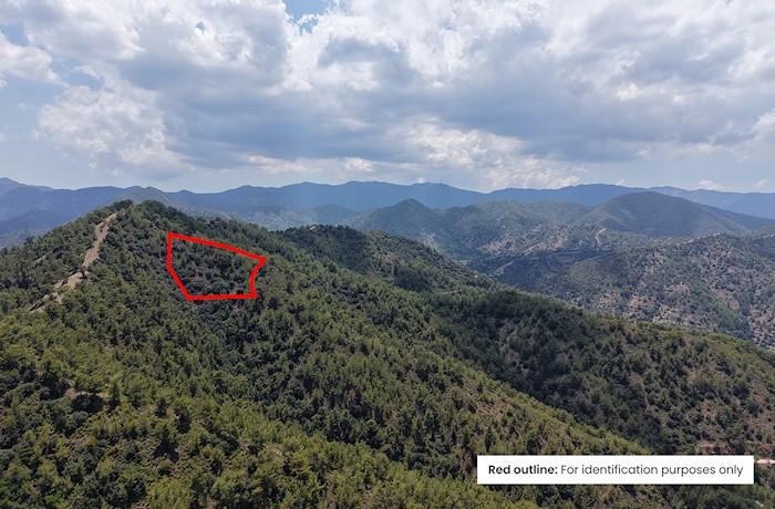 Κάμπος, Λευκωσία, Κύπρος