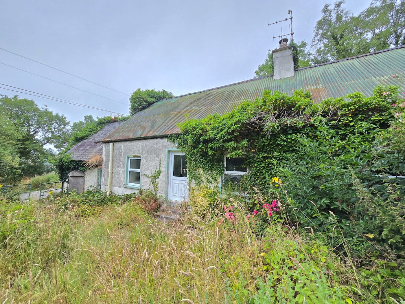 Blakefield, Toomevara, Nenagh image 2