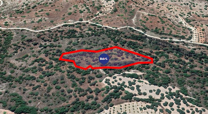 Κανναβιού,Πάφος, Κύπρος