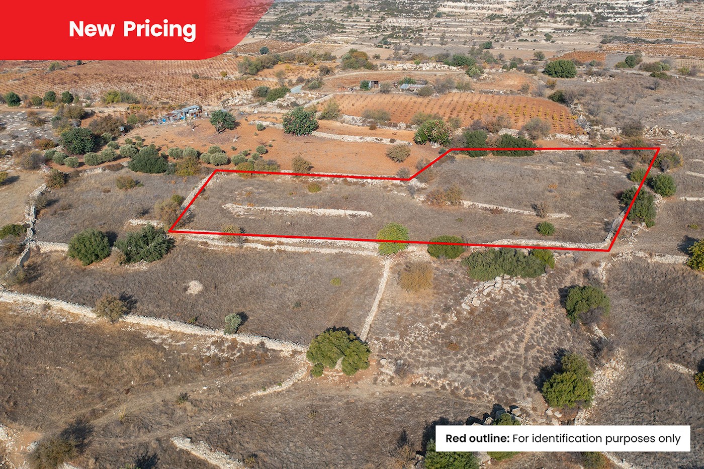 Residential Field in Pachna, Limassol 1/8