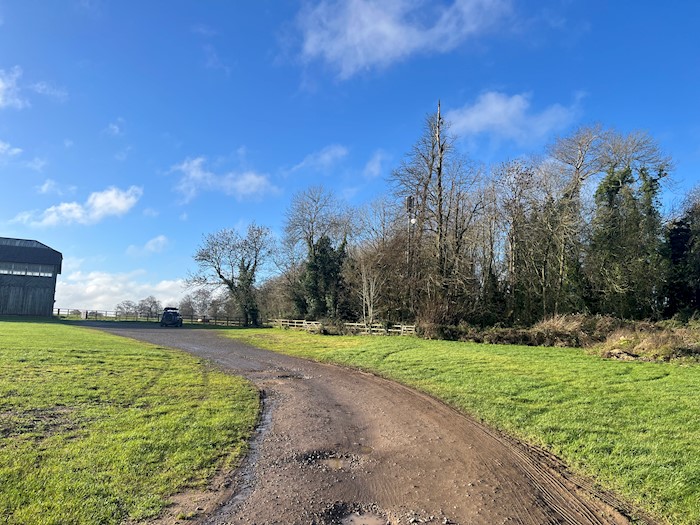 Pavilion Belt, Hartham Park, Corsham, Wiltshire, SN13 0RP, United Kingdom