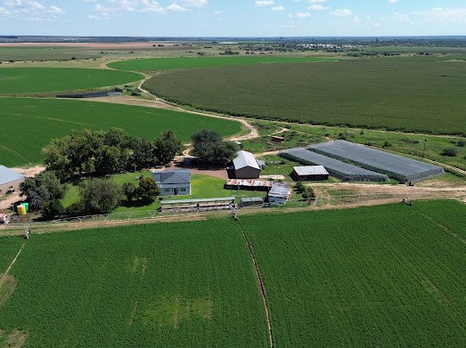 Farm Sunnydale,  Barkly West RD, Northern Cape, South Africa