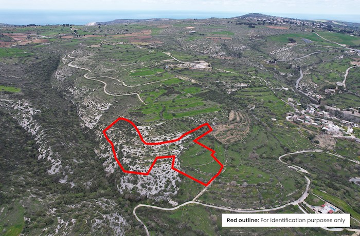 Κρίτου Τέρρα, Πάφος, Κύπρος