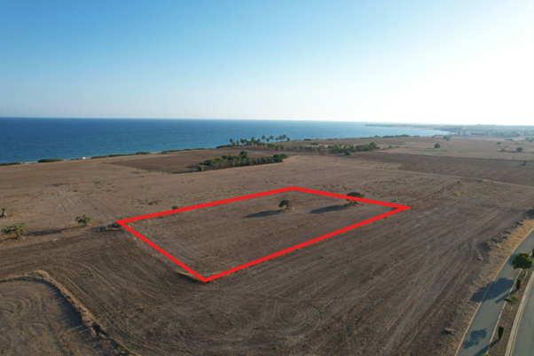 Mazotos, Larnaca, Cyprus