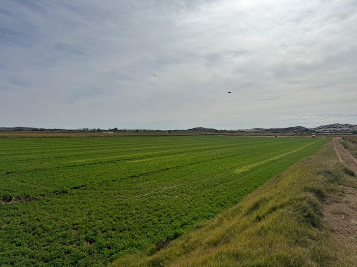 Erf 43, Skanskop Island Settlement, Keimoes, Northern Cape, South Africa