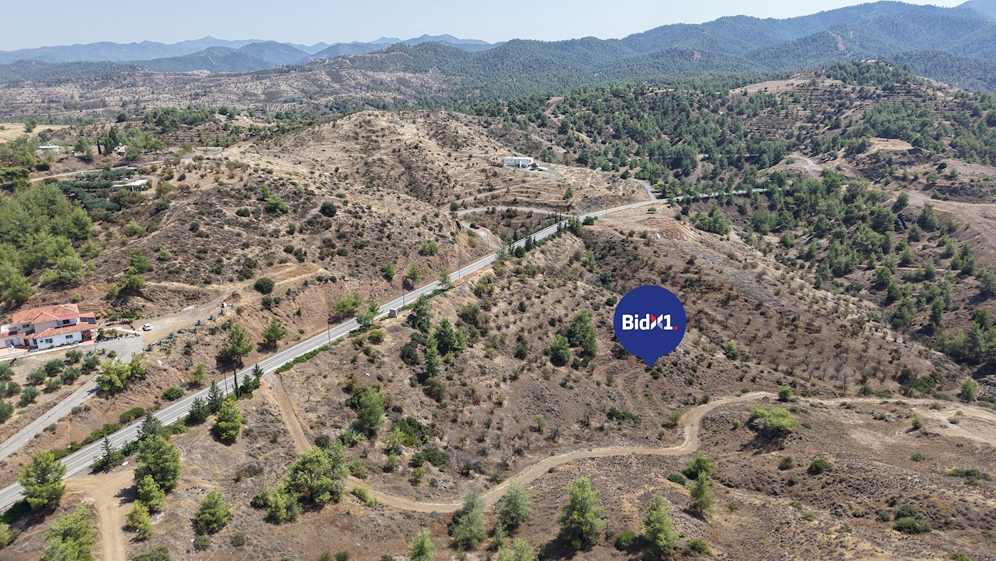 Agricultural Field in Agia Marina Xyliatou, Nicosi… – BidX1 — photo 3