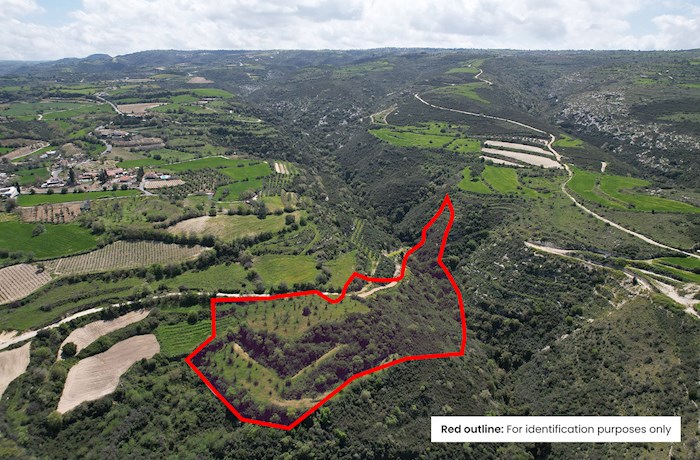 Pano Akourdaleia, Paphos, Cyprus