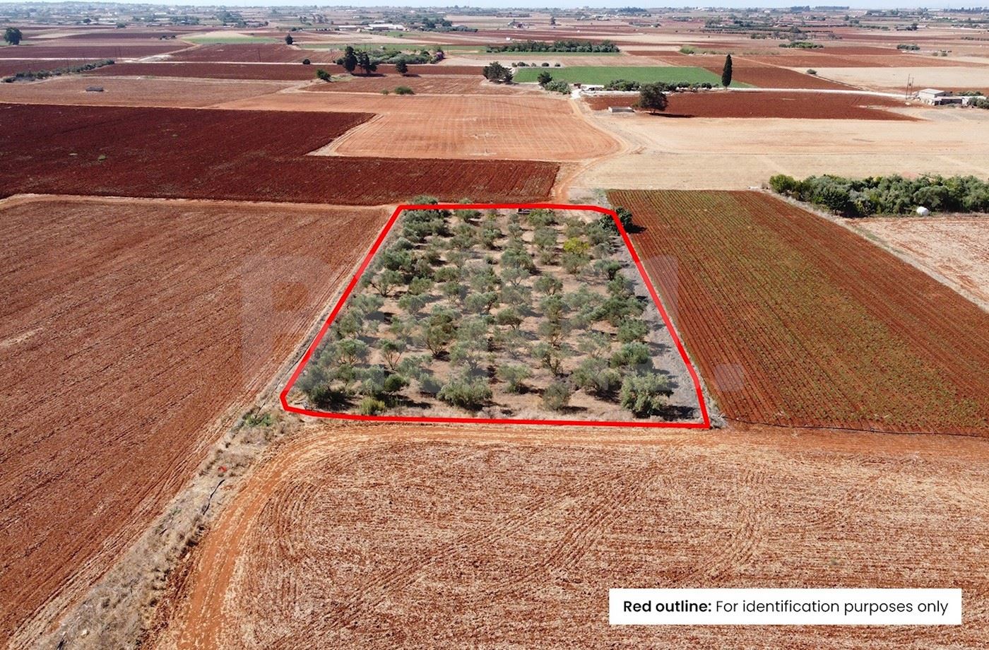 Agricultural Field in Avgorou, Famagusta 1/3