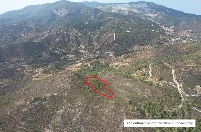 Pelendri, Limassol, Chipre