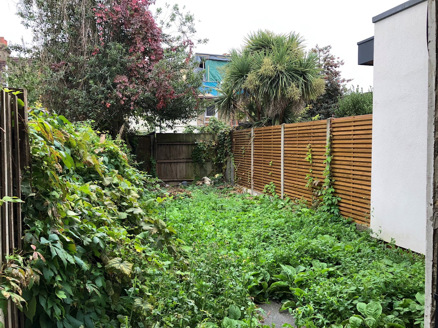 133 Seaford Road, London, N15 5DX